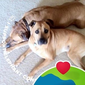 Meet your Posher, Deborah